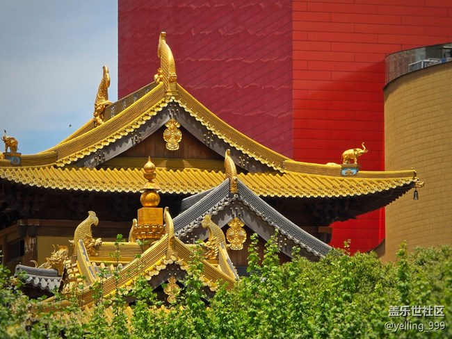 上海星部落4月26日靜安寺citywalk線下攝影活動(dòng)回顧帖