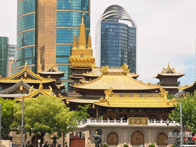 【靜安寺citywalk線下攝影活動(dòng)】+活動(dòng)回顧