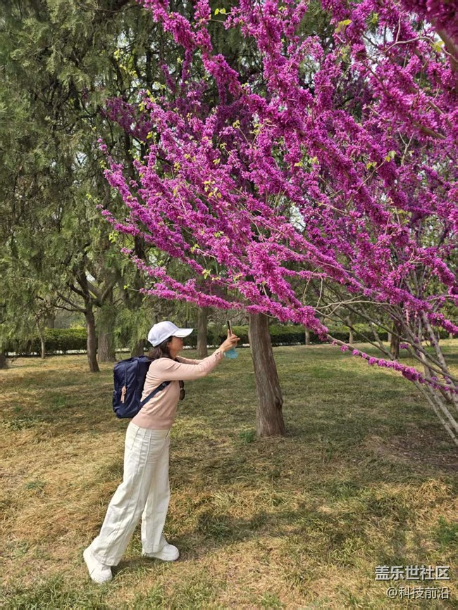 【拈花拾趣】美女與鮮花也可兼得