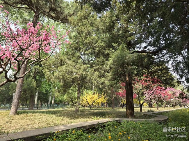 【拈花拾趣】丁香桃花相應(yīng)紅