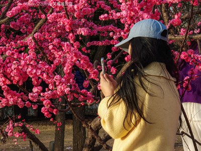 已開獎(jiǎng)【蓋樂世影像周賽第394期】—— 快樂假日