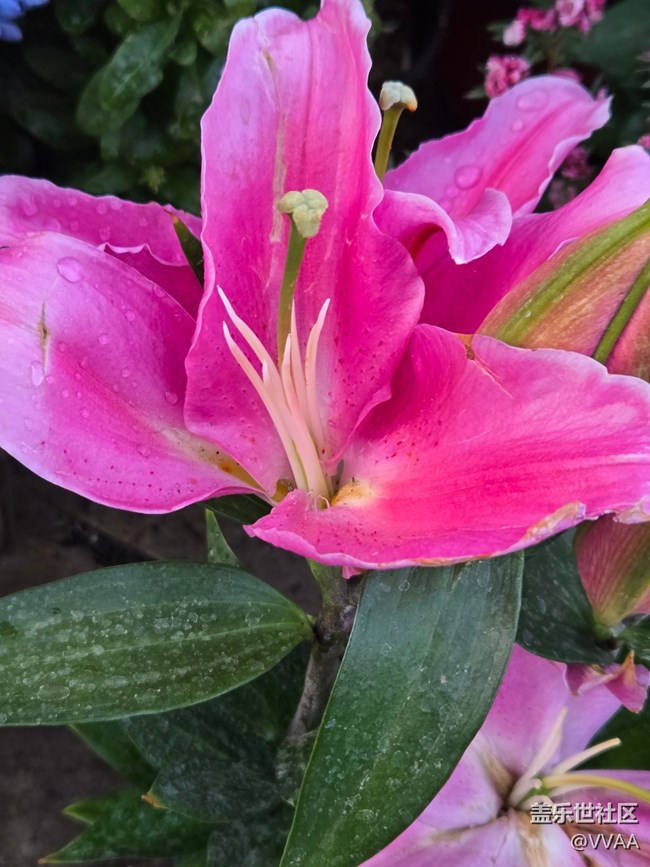 #擁抱大自然——萌態(tài)生趣