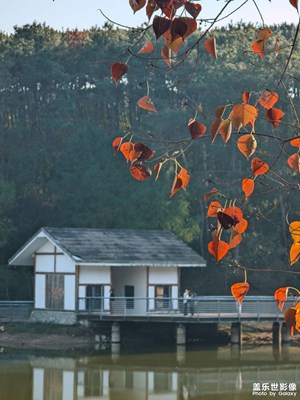 每一次努力，都是一次珍貴的財富