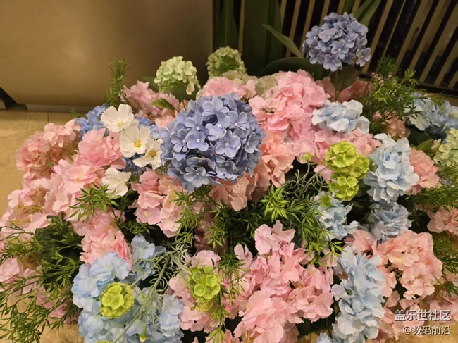 【拈花拾趣】花無貴賤之分