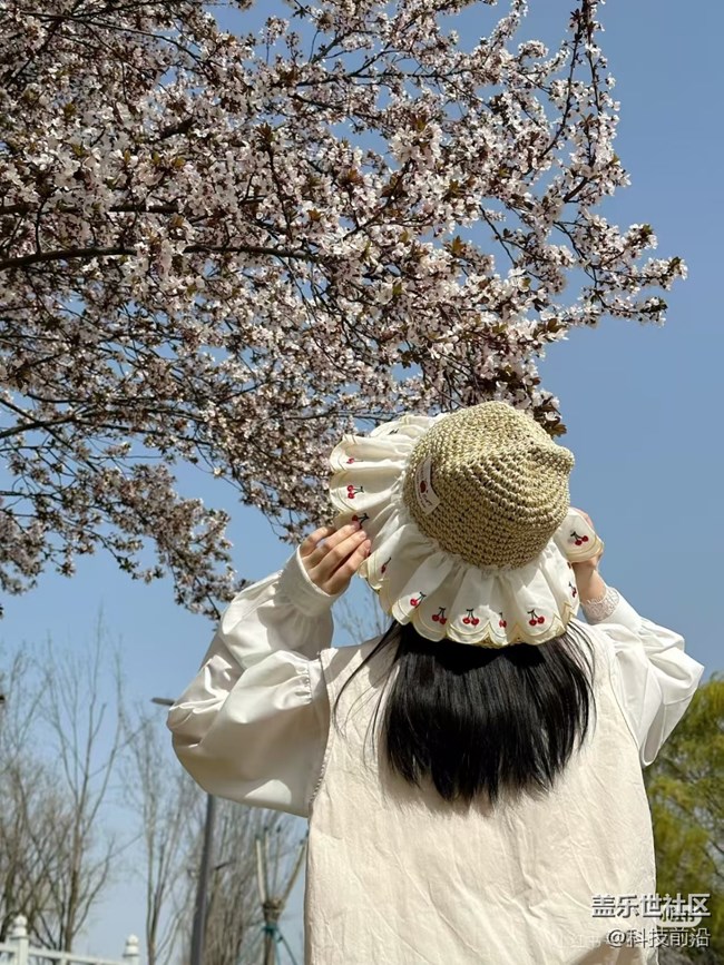 【拈花拾趣】美女與鮮花也可兼得