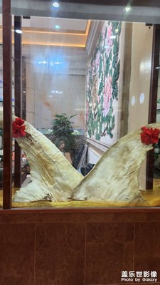 【市井長巷】+生活每個(gè)瞬間