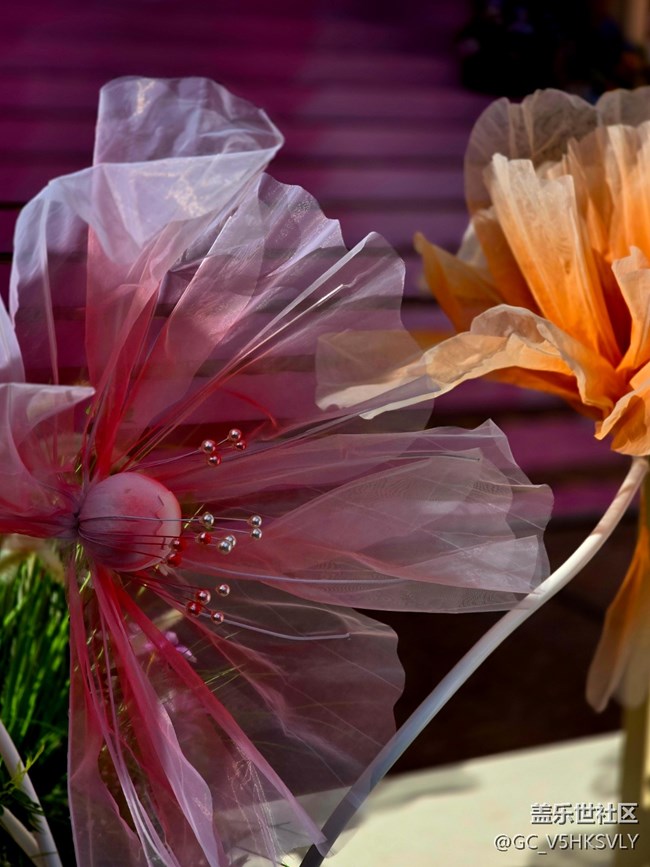 【靜安寺citywalk線下攝影活動(dòng)】+邊走邊拍