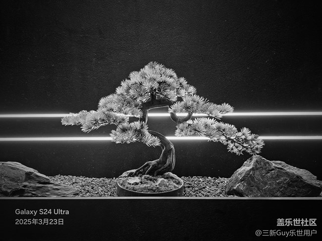 【黑白光影的藝術(shù)】點(diǎn)滴之美