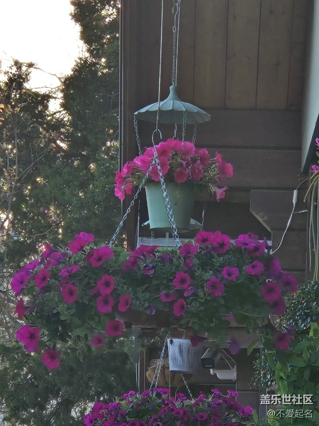 #擁抱大自然——滿店芬芳