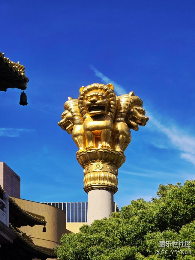 【靜安寺citywalk線下攝影活動(dòng)】+活動(dòng)回顧