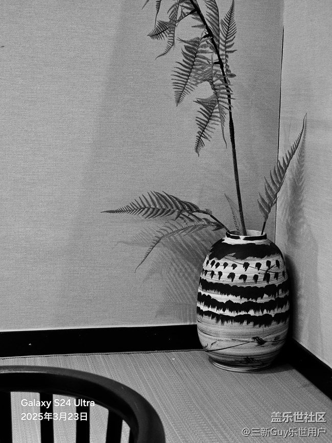 【黑白光影的藝術(shù)】點(diǎn)滴之美