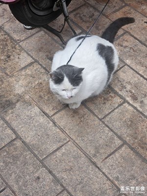 【市井長巷】走街串巷