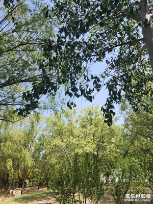 市井長巷 市井深處