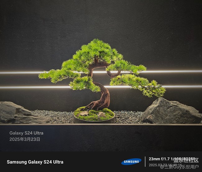 【黑白光影的藝術(shù)】點(diǎn)滴之美