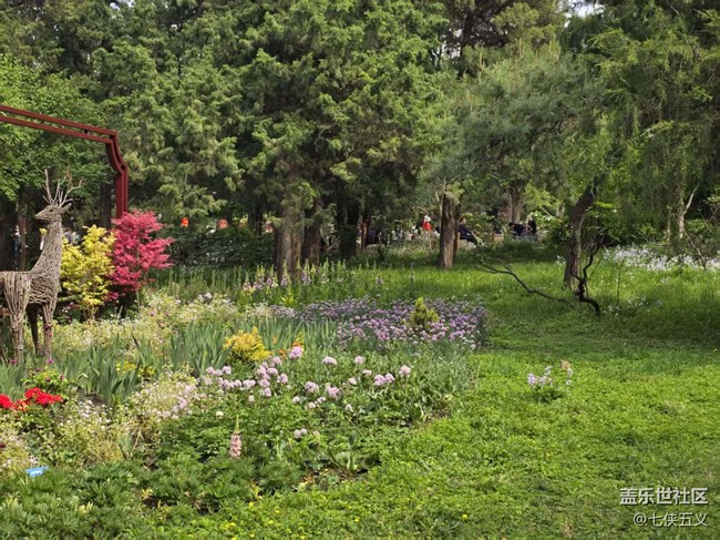 【拈花拾趣】爭奇斗艷 不予雷同