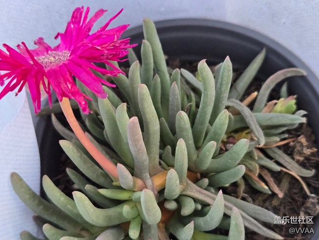 #擁抱大自然——萌態(tài)生趣