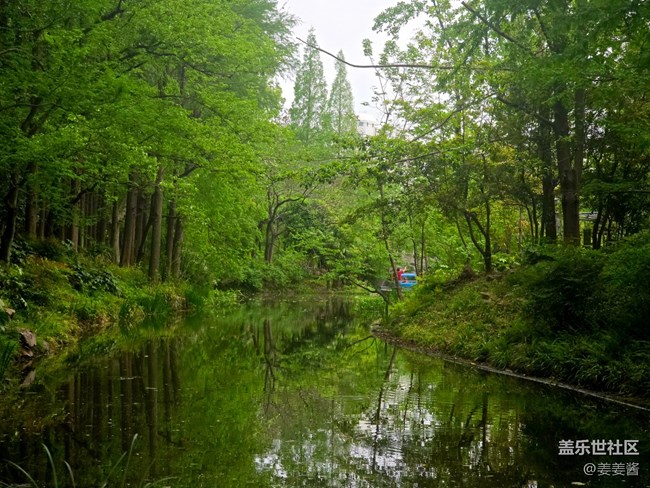 #擁抱大自然——路過(guò)的風(fēng)景