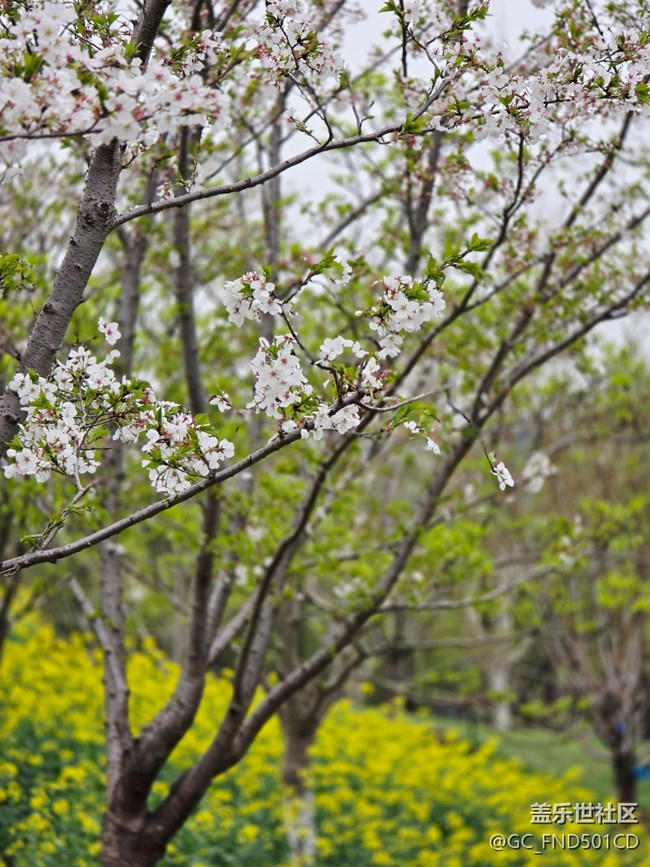 #擁抱大自然——抓住春天的尾巴