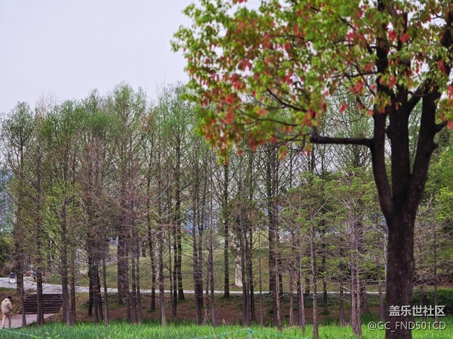 #擁抱大自然——抓住春天的尾巴