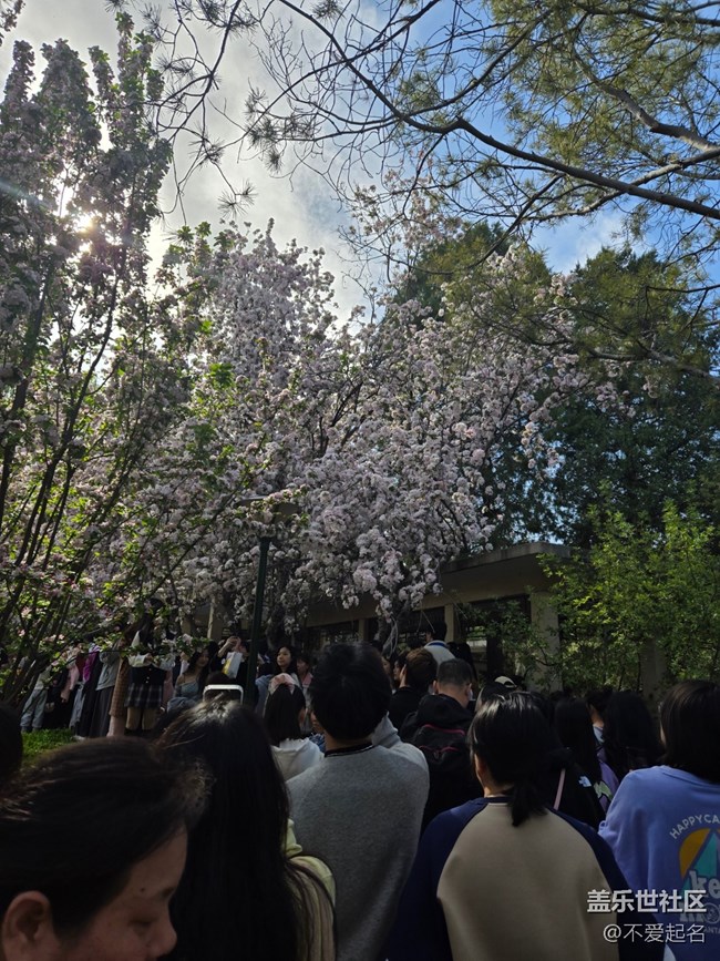【拈花拾趣】花海搖曳
