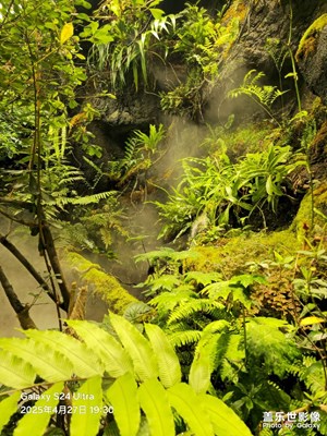 【市井長巷】室內叢林景觀