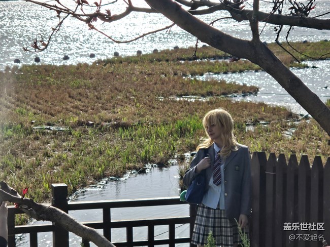 【拈花拾趣】花浪翻涌