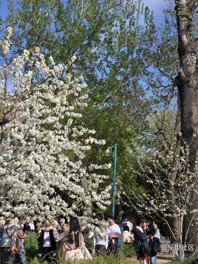 【拈花拾趣】游園賞景