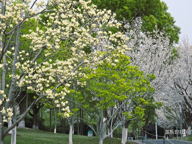 #擁抱大自然——春景