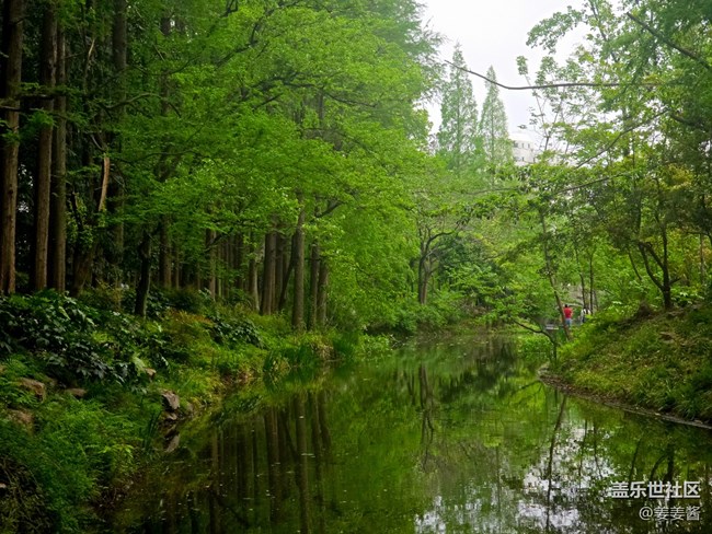 #擁抱大自然——路過(guò)的風(fēng)景