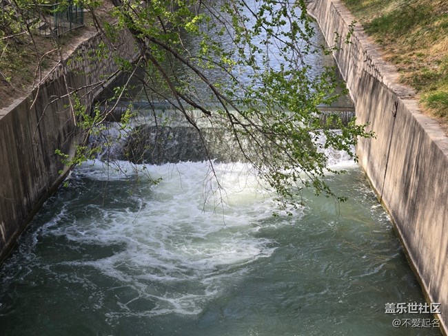 【拈花拾趣】繁花滿枝
