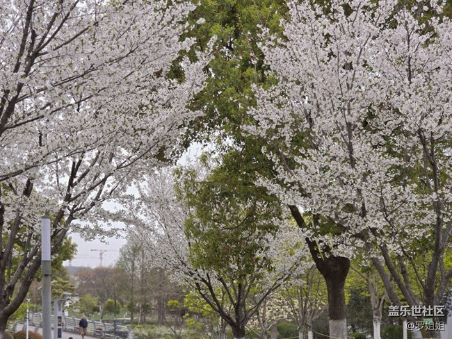 #擁抱大自然——春景