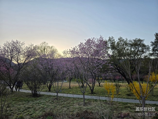 【拈花拾趣】花繁葉茂