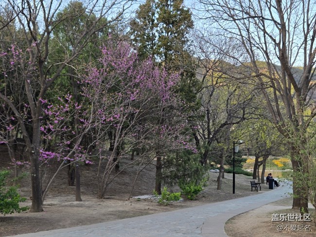 【拈花拾趣】春花爛漫
