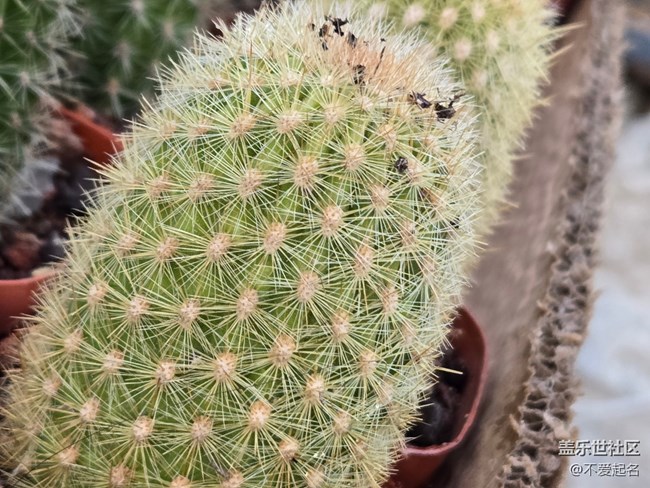 【拈花拾趣】花海飄香