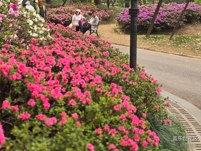 #擁抱大自然——路過(guò)的風(fēng)景