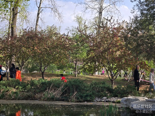 【拈花拾趣】花潮涌動(dòng)