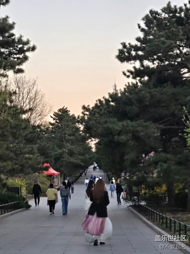 【拈花拾趣】漫步花徑