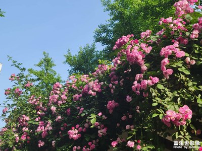 【市井長巷】+掃街隨拍