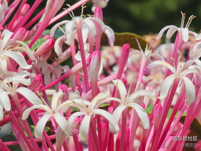 【四月春】春日色彩