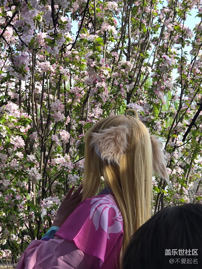 【拈花拾趣】花海搖曳