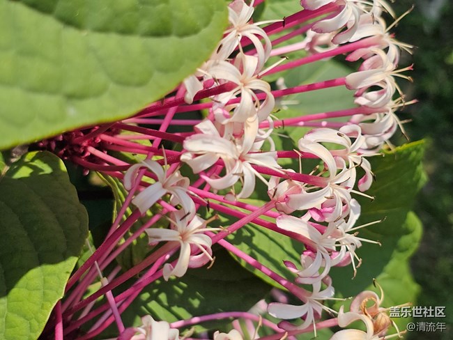 【四月春】春日色彩