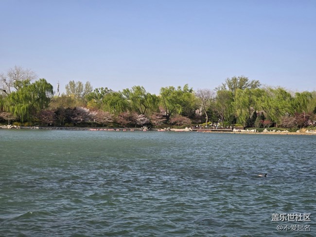 【拈花拾趣】游園賞景