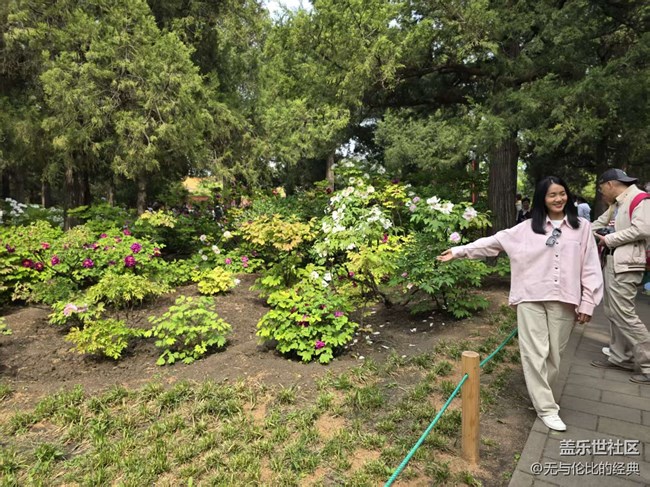 【拈花拾趣】人山人海