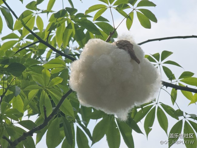 【四月春】四月植物