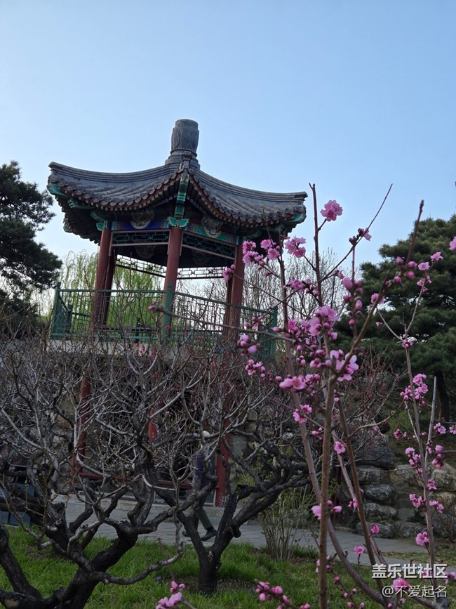 【拈花拾趣】花潮涌動