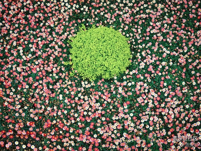 【春日盛景】春天里