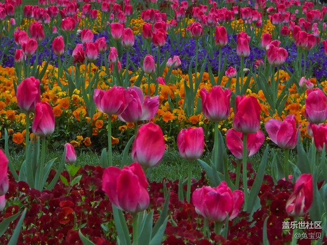 #擁抱大自然——換個心情