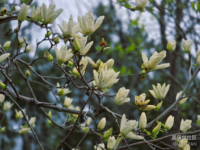 #擁抱大自然——出去走走