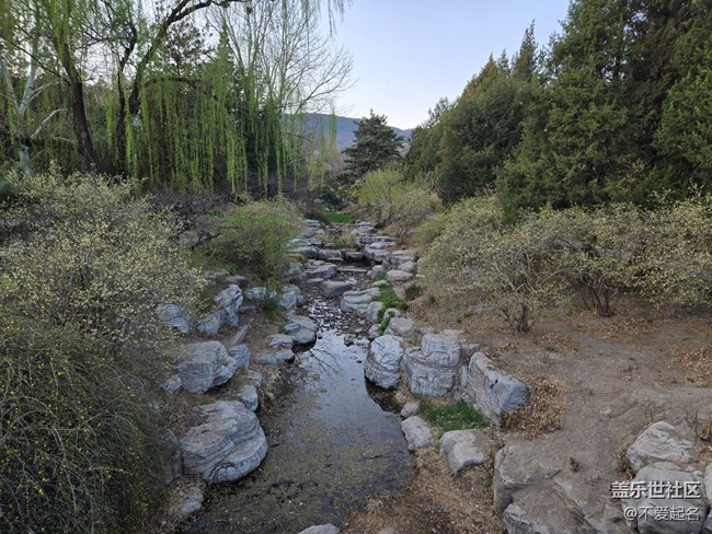 【拈花拾趣】春花爛漫