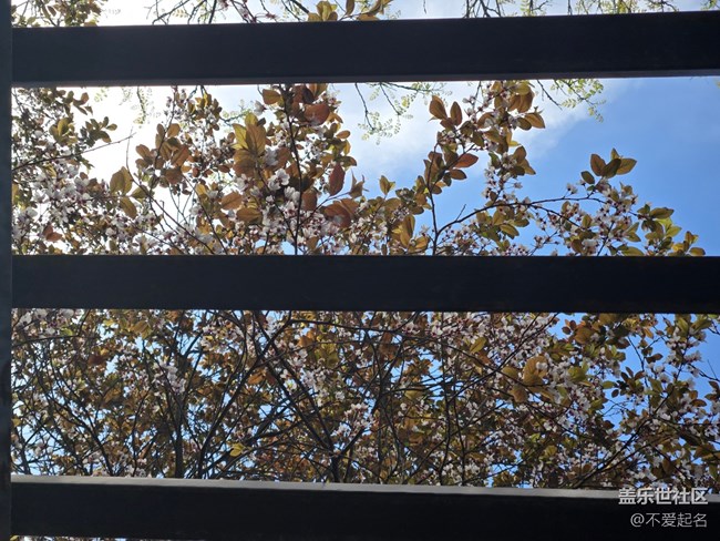 【拈花拾趣】花潮涌動(dòng)